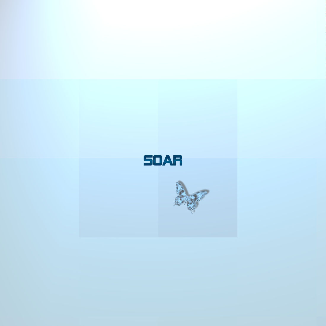 An image of a butterfly with the word soar