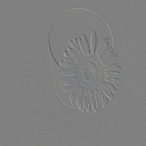 Flower pot image with Emboss effect