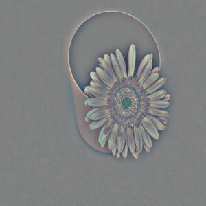 Flower Pot image with high pass effect
