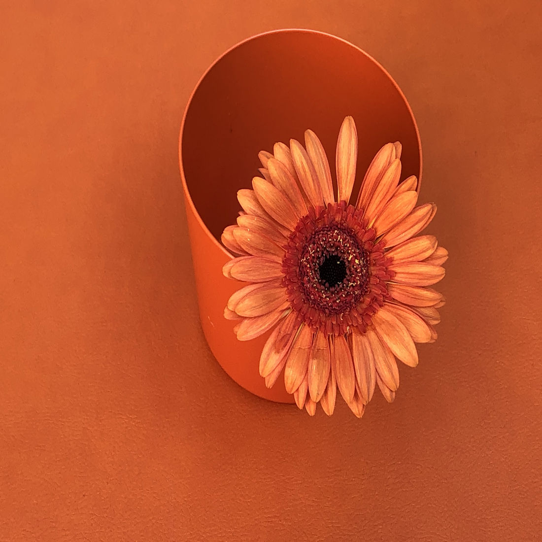 Flower pot in Orange