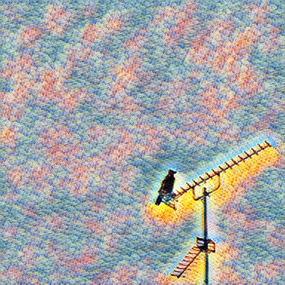 crow on an aerial